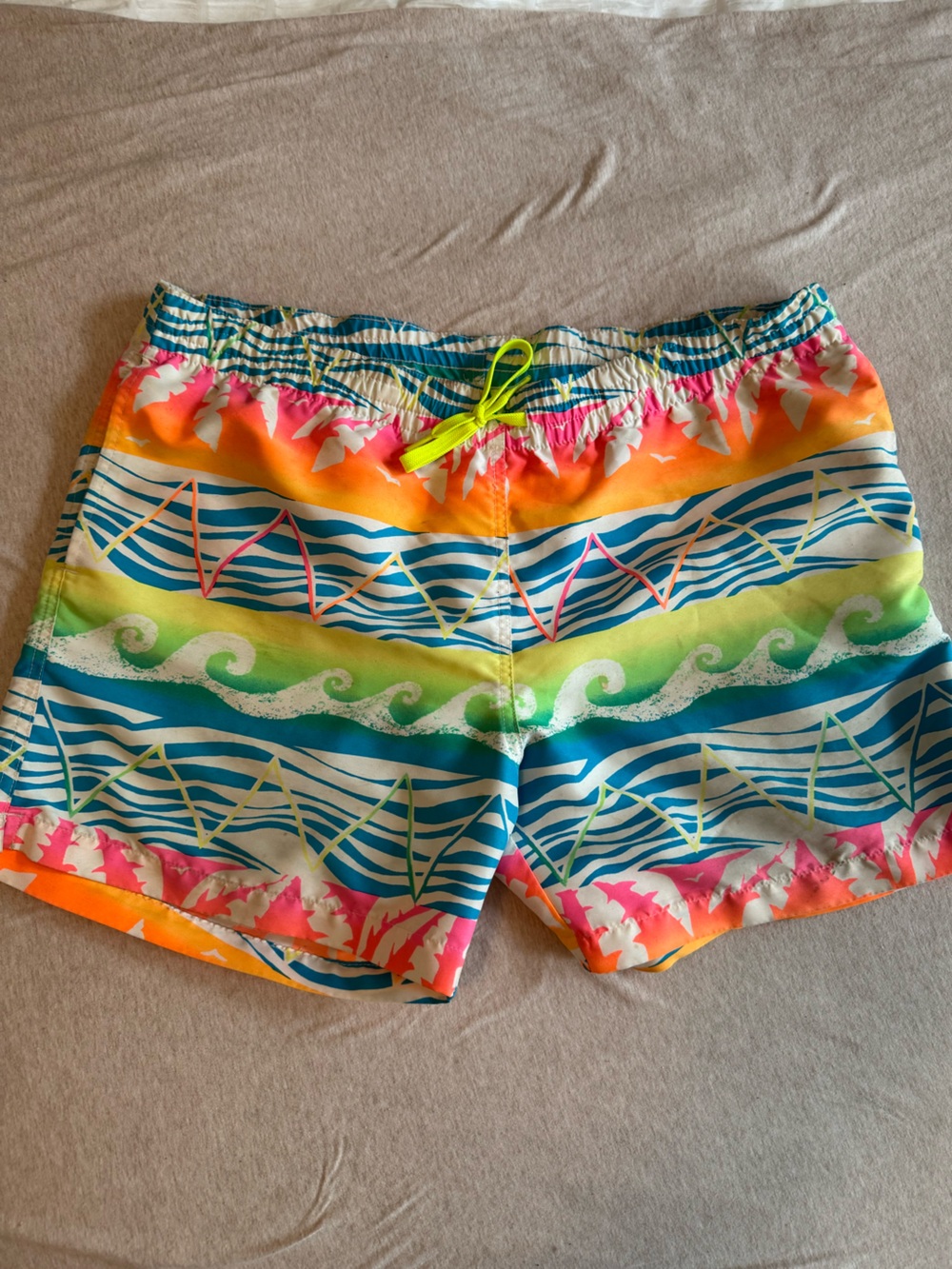 chubbies Neon Rainbow Wave Print Swim Trunks